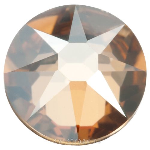 2058 ss 9 Crystal Golden Shadow F