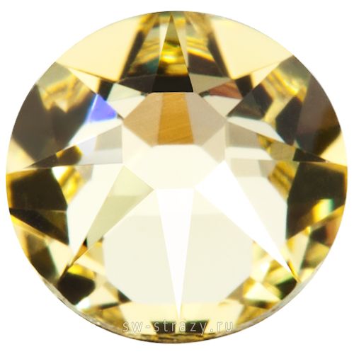 2088 ss 12 Jonquil F