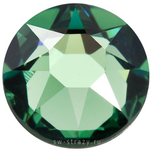 2088 ss 12 Erinite F